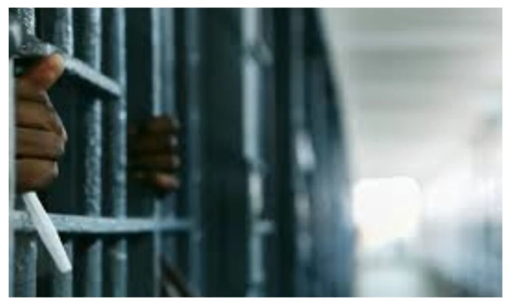 Yobe farmer jailed 10 years for failing to report Boko Haram members Yobe farmer jailed 10 years for failing to report Boko Haram members