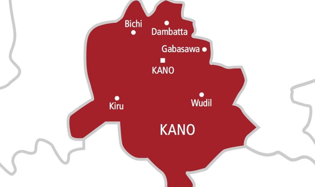Suspected rabid dog bites 18 people in Kano