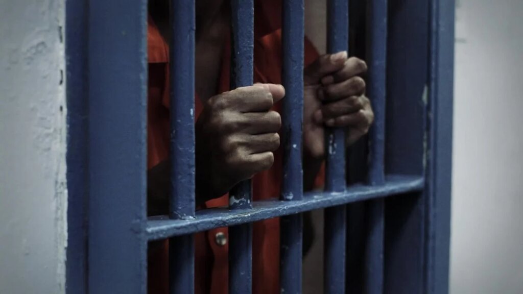 Nigerian campaign worker arrested by ICE after guilty plea in US