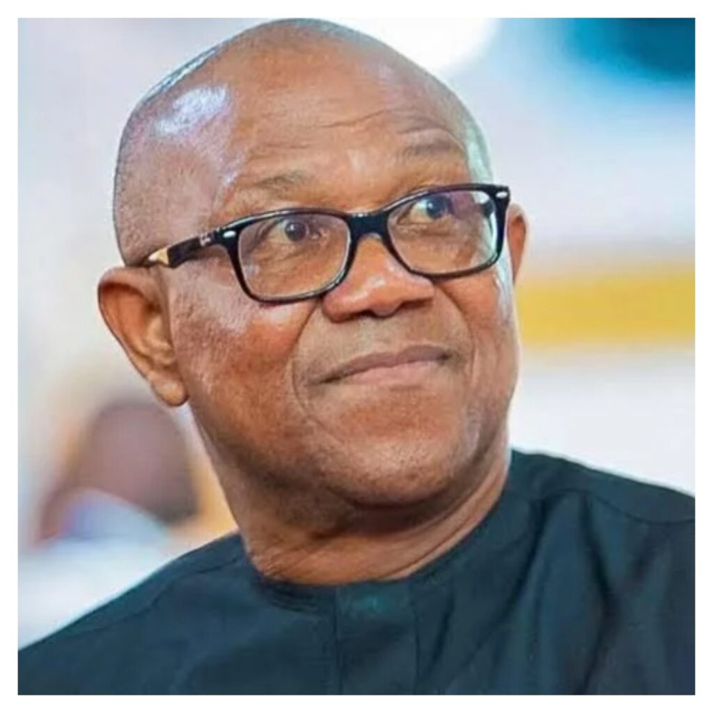 2027: Lagos APC spokesman predicts trouble for Peter Obi, Obidient Movement 2027: Lagos APC spokesman predicts trouble for Peter Obi, Obidient Movement