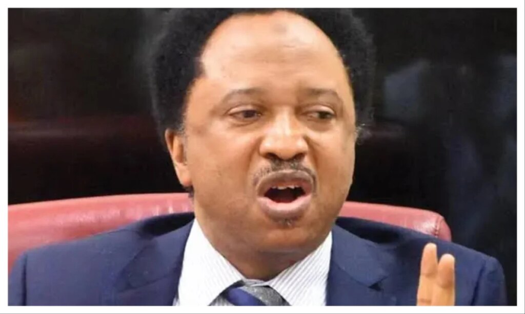 Nigeria at 66: We’ve survived our challenges – Shehu Sani Nigeria at 66: We’ve survived our challenges – Shehu Sani
